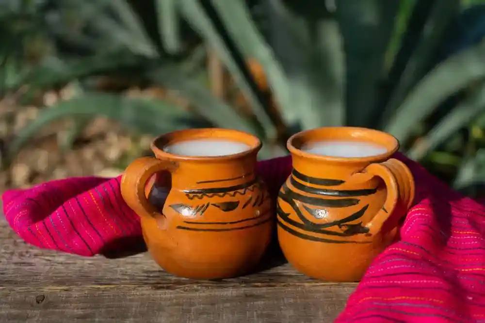 Pulque natural mexicano artesanal y suave
